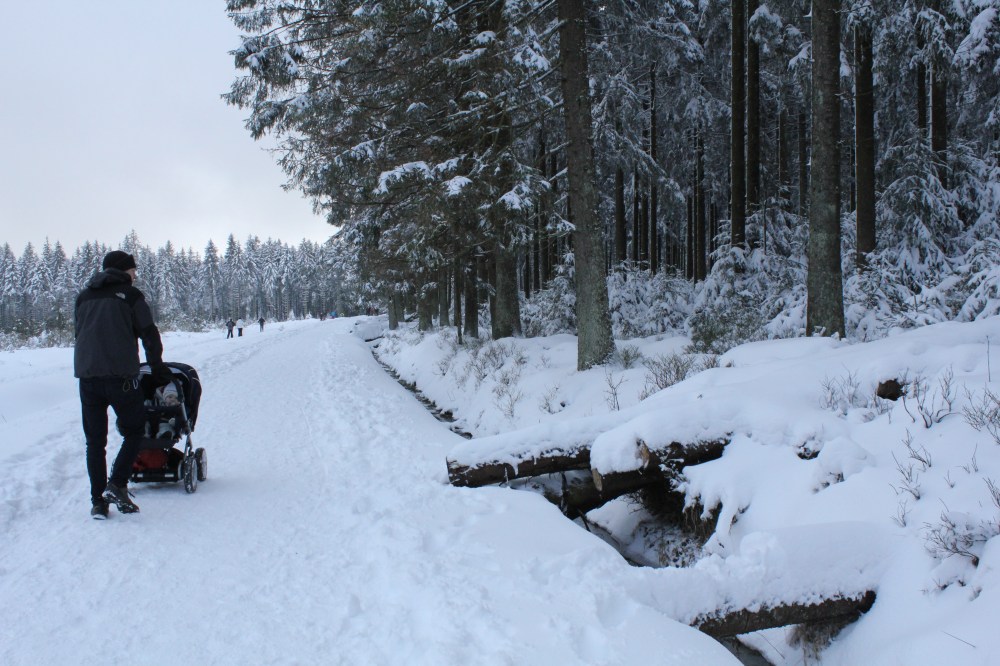 hautesfagnes_emmaljunga