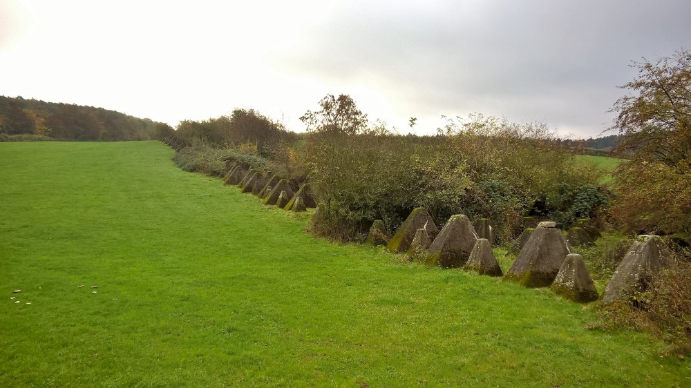 wp_20161027_11_12_59_pro